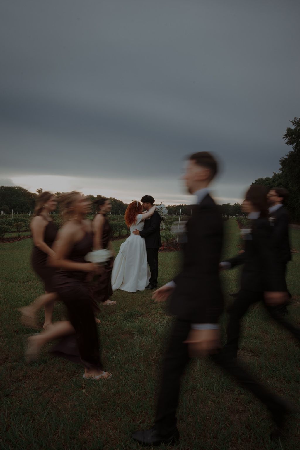 A wedding party walking past a couple in an open field at dusk